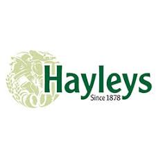 Junior Executive – Operations (Maldives) hayleys