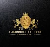 Senior Marketing Executive - Male cambridge