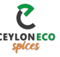 Junior Executive - HR & Administration ceylon es